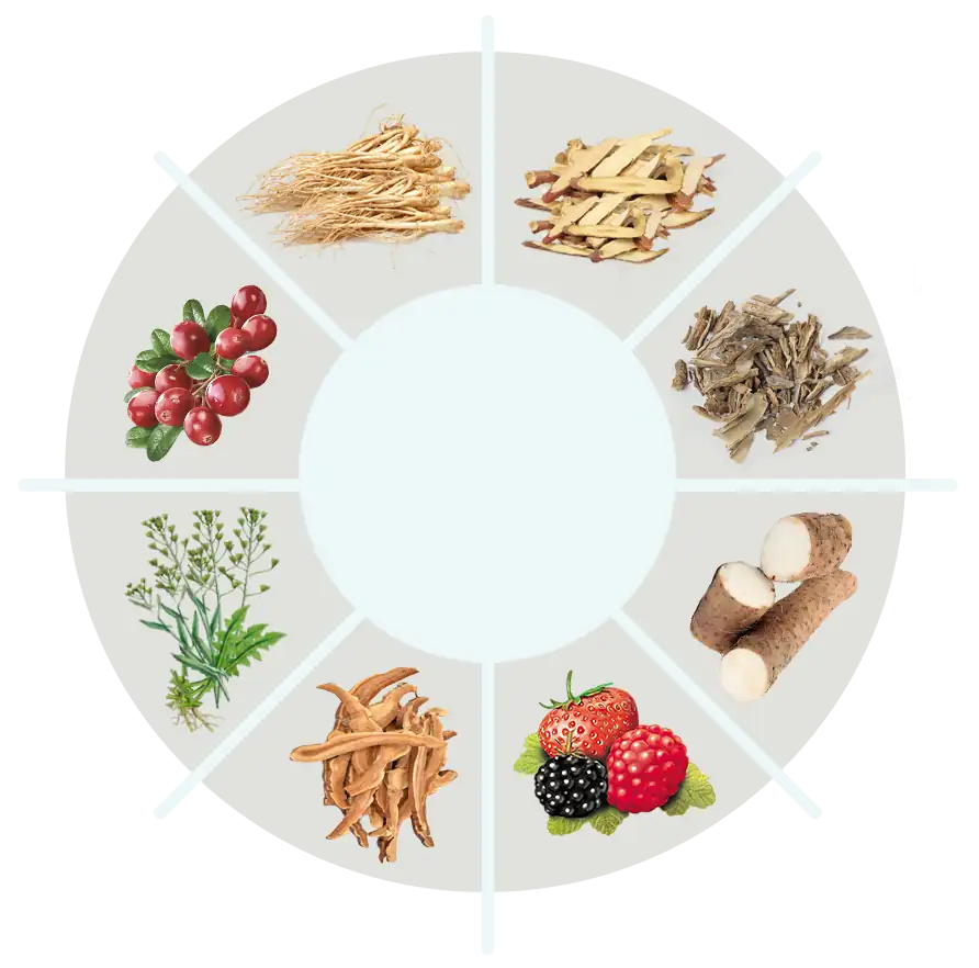 BackBiome ingredient overview